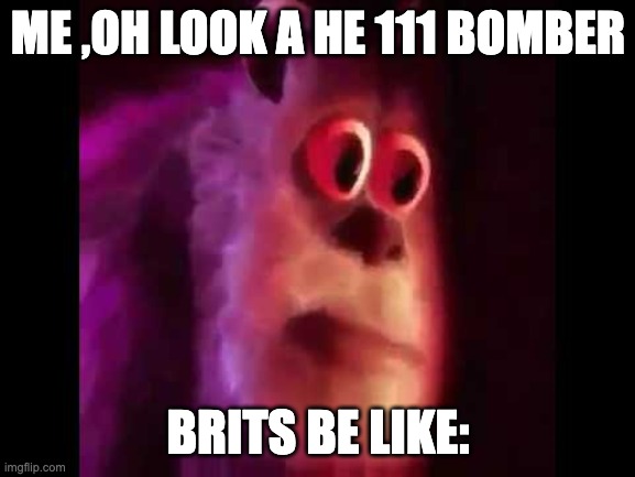 Sully Groan | ME ,OH LOOK A HE 111 BOMBER; BRITS BE LIKE: | image tagged in sully groan | made w/ Imgflip meme maker