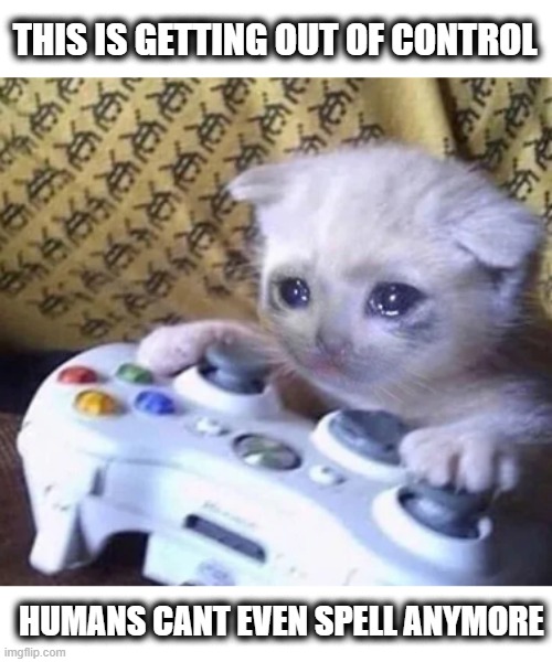 Sad gaming cat | THIS IS GETTING OUT OF CONTROL HUMANS CANT EVEN SPELL ANYMORE | image tagged in sad gaming cat | made w/ Imgflip meme maker