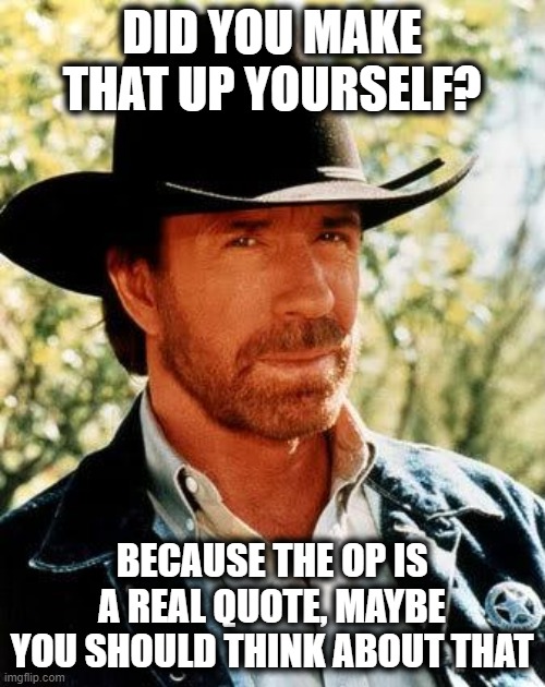 Chuck Norris Meme | DID YOU MAKE THAT UP YOURSELF? BECAUSE THE OP IS A REAL QUOTE, MAYBE YOU SHOULD THINK ABOUT THAT | image tagged in memes,chuck norris | made w/ Imgflip meme maker