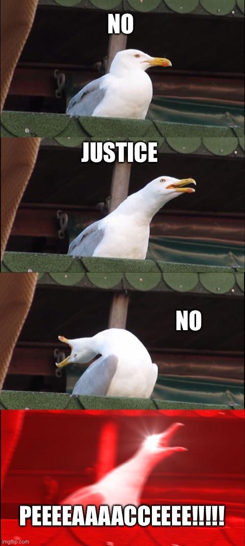 No justice no peace | NO; JUSTICE; NO; PEEEEAAAACCEEEE!!!!! | image tagged in memes,inhaling seagull,blm | made w/ Imgflip meme maker