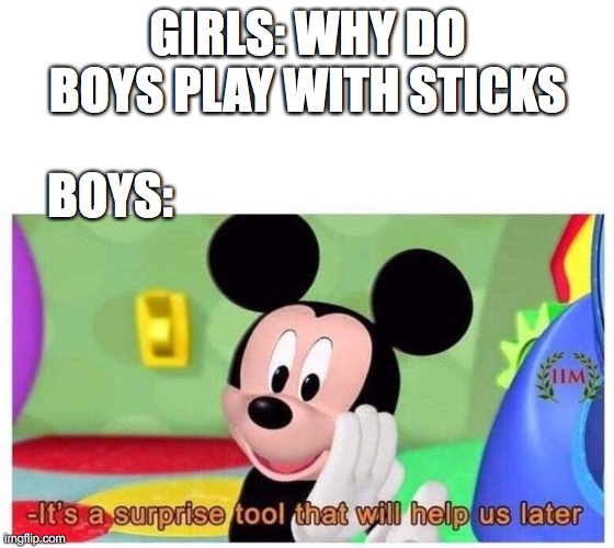 It's a surprise tool that will help us later | GIRLS: WHY DO BOYS PLAY WITH STICKS; BOYS: | image tagged in it's a surprise tool that will help us later | made w/ Imgflip meme maker