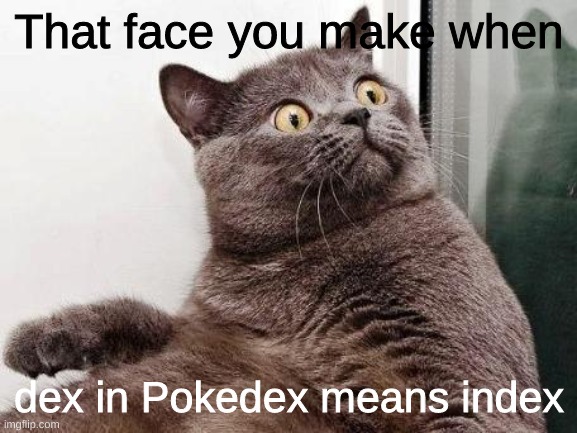 Surprised cat |  That face you make when; dex in Pokedex means index | image tagged in surprised cat,mind blown,pokemon insurgence,pokemon,pokedex | made w/ Imgflip meme maker