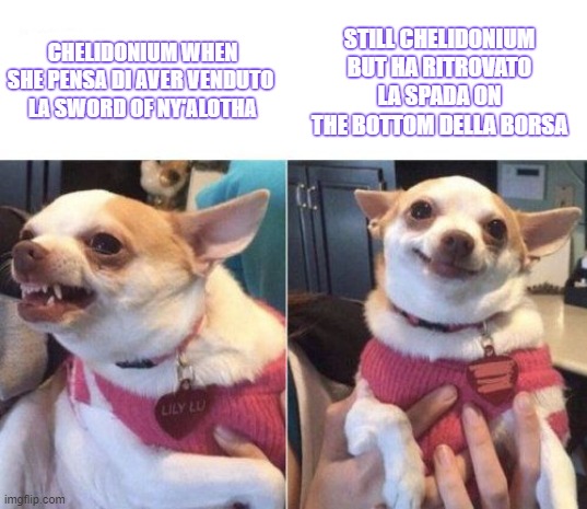 angry chihuahua happy chihuahua | STILL CHELIDONIUM BUT HA RITROVATO LA SPADA ON THE BOTTOM DELLA BORSA; CHELIDONIUM WHEN SHE PENSA DI AVER VENDUTO 
LA SWORD OF NY'ALOTHA | image tagged in angry chihuahua happy chihuahua | made w/ Imgflip meme maker