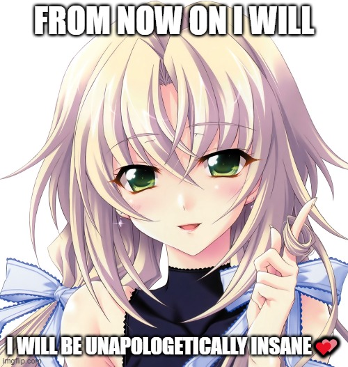 from now on i will be unapologetically insane | FROM NOW ON I WILL; I WILL BE UNAPOLOGETICALLY INSANE💕 | image tagged in mental illness,lol,anime,irony,ironic | made w/ Imgflip meme maker