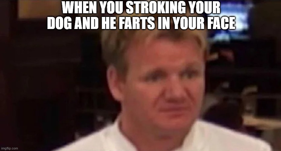 Disgusted Gordon Ramsay | WHEN YOU STROKING YOUR DOG AND HE FARTS IN YOUR FACE | image tagged in disgusted gordon ramsay,dogs | made w/ Imgflip meme maker