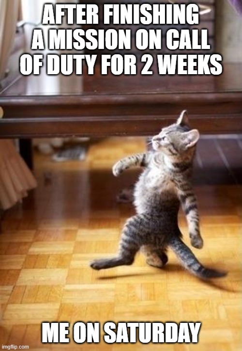 i'm done | AFTER FINISHING A MISSION ON CALL OF DUTY FOR 2 WEEKS; ME ON SATURDAY | image tagged in memes,cool cat stroll | made w/ Imgflip meme maker