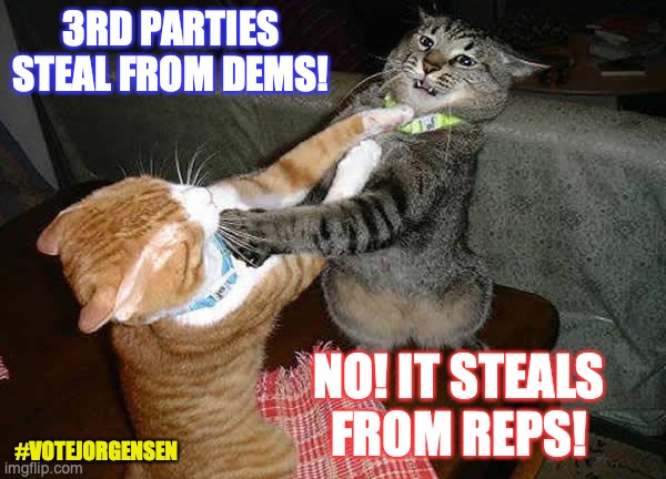 Watching the Duopoly fighting over whose vote was stolen | 3RD PARTIES STEAL FROM DEMS! NO! IT STEALS FROM REPS! #VOTEJORGENSEN | image tagged in two cats fighting for real,presidential election,wasted vote,3rd party,jo20,vote jorgensen | made w/ Imgflip meme maker