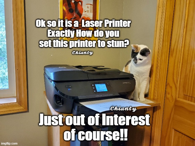 So? | Ok so it is a  Laser Printer
Exactly How do you
 set this printer to stun? 𝓒𝓱𝓲𝓪𝓷𝓽𝔂; 𝓒𝓱𝓲𝓪𝓷𝓽𝔂; Just out of Interest 
of course!! | image tagged in interesting | made w/ Imgflip meme maker