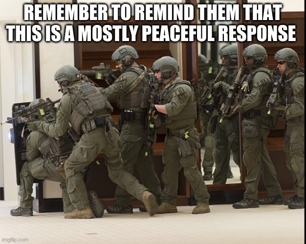Crushing criminals is an art form | REMEMBER TO REMIND THEM THAT THIS IS A MOSTLY PEACEFUL RESPONSE | image tagged in fbi swat,back the blue,crush criminals,mostly peaceful response,stick time,take a knee | made w/ Imgflip meme maker