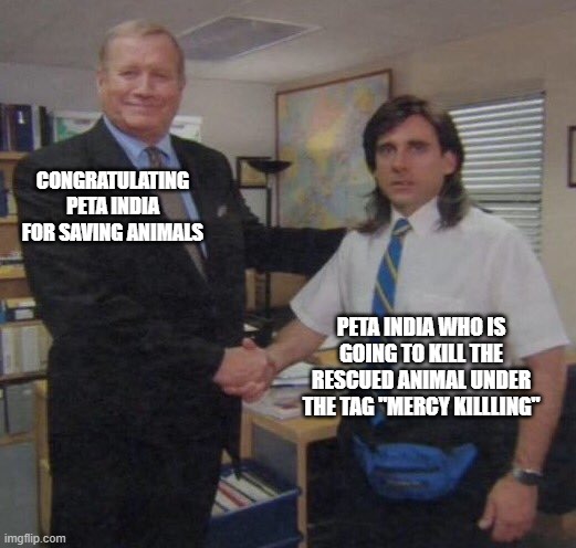 the office congratulations | CONGRATULATING PETA INDIA FOR SAVING ANIMALS; PETA INDIA WHO IS GOING TO KILL THE RESCUED ANIMAL UNDER THE TAG "MERCY KILLLING" | image tagged in the office congratulations | made w/ Imgflip meme maker