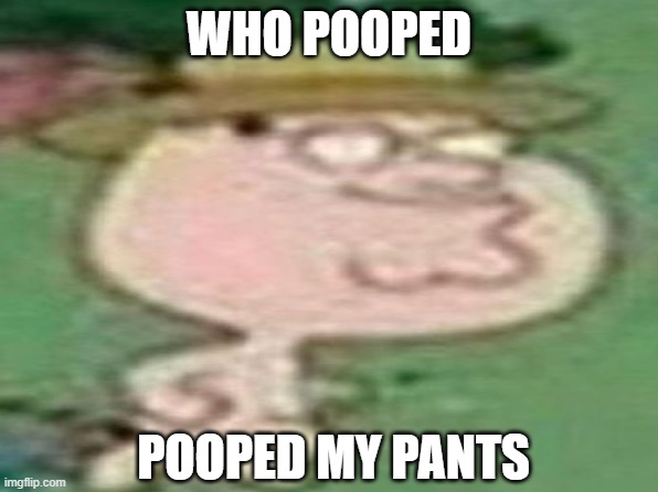 Poopie in pants | WHO POOPED; POOPED MY PANTS | image tagged in poopy pants,pants | made w/ Imgflip meme maker