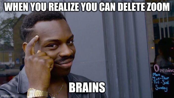 Roll Safe Think About It | WHEN YOU REALIZE YOU CAN DELETE ZOOM; BRAINS | image tagged in memes,roll safe think about it | made w/ Imgflip meme maker