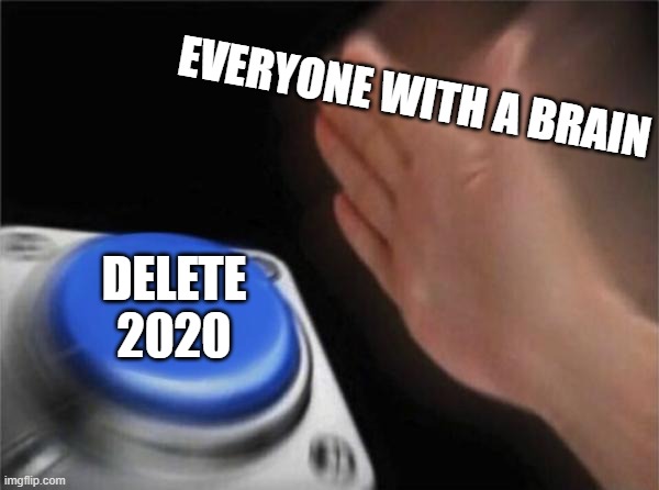 Blank Nut Button Meme | EVERYONE WITH A BRAIN; DELETE 2020 | image tagged in memes,blank nut button | made w/ Imgflip meme maker