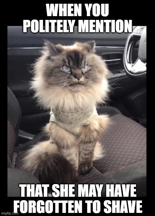 Dat look, tho | WHEN YOU POLITELY MENTION; THAT SHE MAY HAVE FORGOTTEN TO SHAVE | image tagged in funny,grumpy cat,shave,wife,marriage,relationships | made w/ Imgflip meme maker