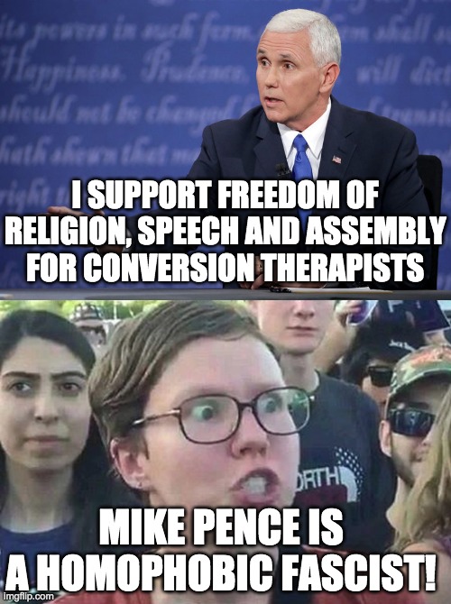 So supporting civil rights and opposing totalitarianism is fascism? | I SUPPORT FREEDOM OF RELIGION, SPEECH AND ASSEMBLY FOR CONVERSION THERAPISTS; MIKE PENCE IS A HOMOPHOBIC FASCIST! | image tagged in mike pence,triggered liberal,funny,memes,politics,homosexuality | made w/ Imgflip meme maker