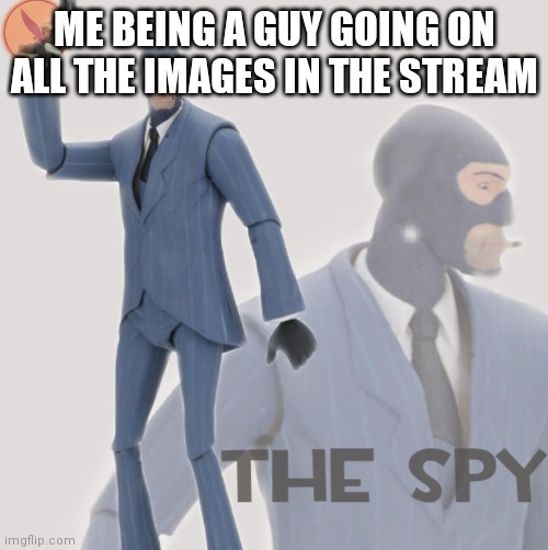 Meet The Spy | ME BEING A GUY GOING ON ALL THE IMAGES IN THE STREAM | image tagged in meet the spy | made w/ Imgflip meme maker