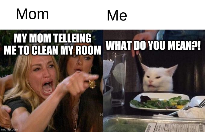 Woman Yelling At Cat | Mom; Me; MY MOM TELLEING ME TO CLEAN MY ROOM; WHAT DO YOU MEAN?! | image tagged in memes,woman yelling at cat | made w/ Imgflip meme maker