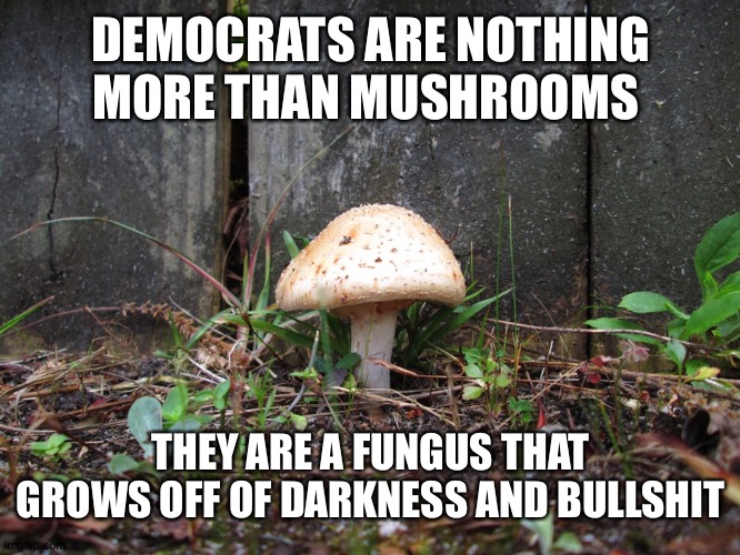 mushroom | DEMOCRATS ARE NOTHING MORE THAN MUSHROOMS; THEY ARE A FUNGUS THAT GROWS OFF OF DARKNESS AND BULLSHIT | image tagged in mushroom | made w/ Imgflip meme maker