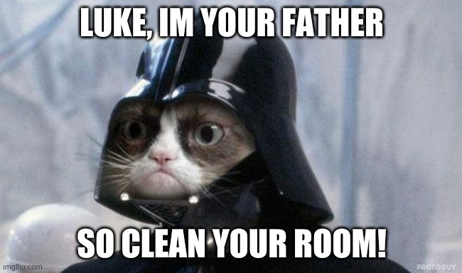 Grumpy Cat Star Wars | LUKE, IM YOUR FATHER; SO CLEAN YOUR ROOM! | image tagged in memes,grumpy cat star wars,grumpy cat | made w/ Imgflip meme maker