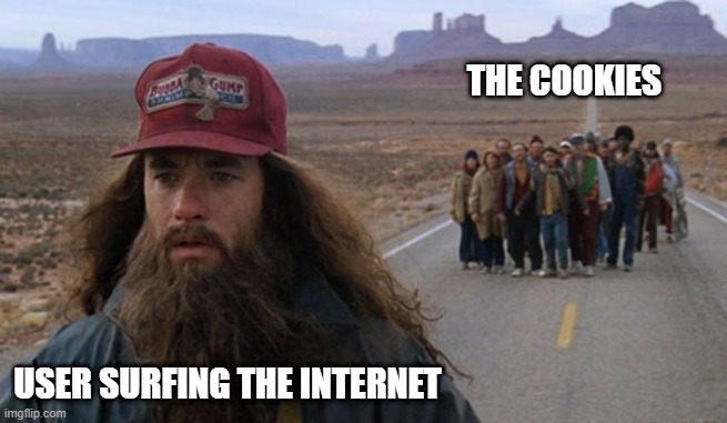 The Cookies | THE COOKIES; USER SURFING THE INTERNET | image tagged in marketing,website,websites,digital,cookies | made w/ Imgflip meme maker