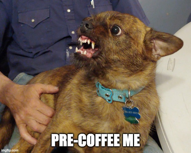 Pre-Coffee Me | PRE-COFFEE ME | image tagged in no coffee | made w/ Imgflip meme maker