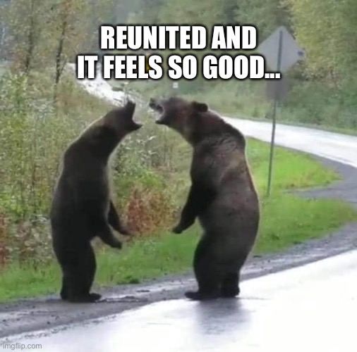 Reunited | REUNITED AND IT FEELS SO GOOD... | image tagged in bears | made w/ Imgflip meme maker