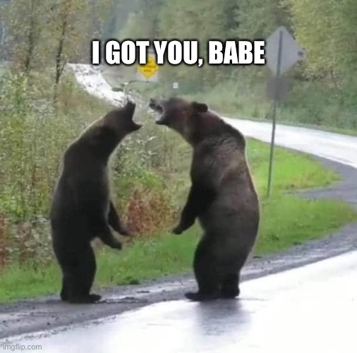 I Got You Babe | I GOT YOU, BABE | image tagged in bears | made w/ Imgflip meme maker
