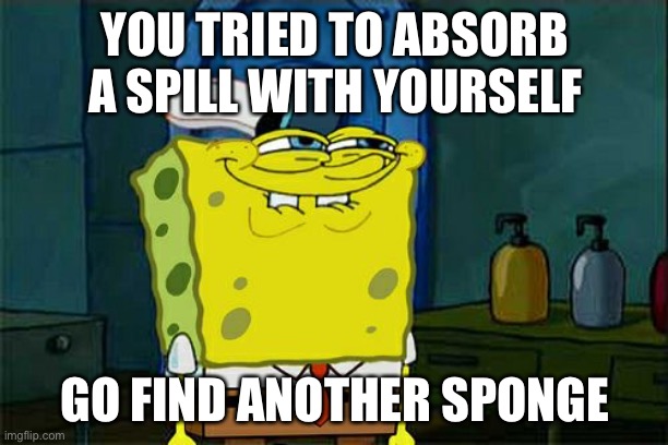 Don't You Squidward | YOU TRIED TO ABSORB A SPILL WITH YOURSELF; GO FIND ANOTHER SPONGE | image tagged in memes,don't you squidward | made w/ Imgflip meme maker