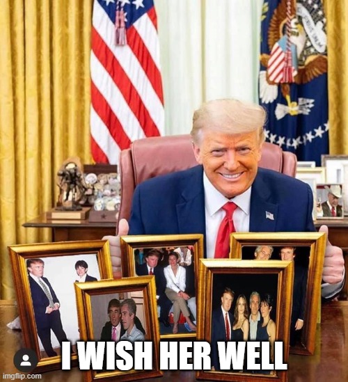 trump | I WISH HER WELL | image tagged in trump | made w/ Imgflip meme maker