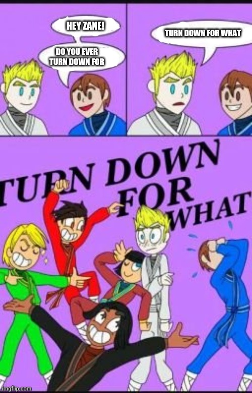 Turn down for what | HEY ZANE! TURN DOWN FOR WHAT; DO YOU EVER TURN DOWN FOR | image tagged in turn down for what,ninjago,lego,funny,memes | made w/ Imgflip meme maker