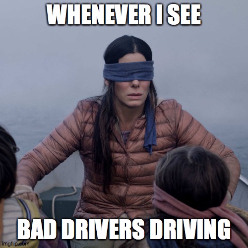 It's like they can't see anything CLEARLY IN FRONT OF THEM! | WHENEVER I SEE; BAD DRIVERS DRIVING | image tagged in memes,bird box,bad drivers | made w/ Imgflip meme maker