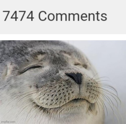 image tagged in memes,satisfied seal | made w/ Imgflip meme maker