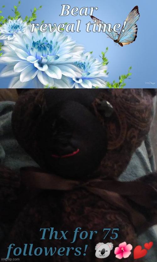 Don't judge him! | Bear reveal time! Thx for 75 followers! 🐨🌺💕 | made w/ Imgflip meme maker