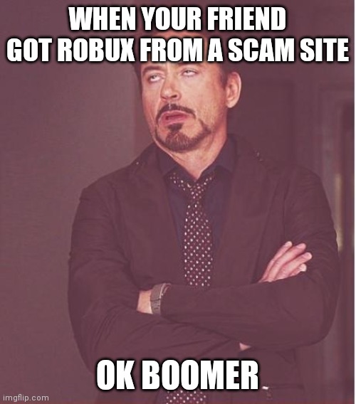 Face You Make Robert Downey Jr Meme | WHEN YOUR FRIEND GOT ROBUX FROM A SCAM SITE; OK BOOMER | image tagged in memes,face you make robert downey jr | made w/ Imgflip meme maker