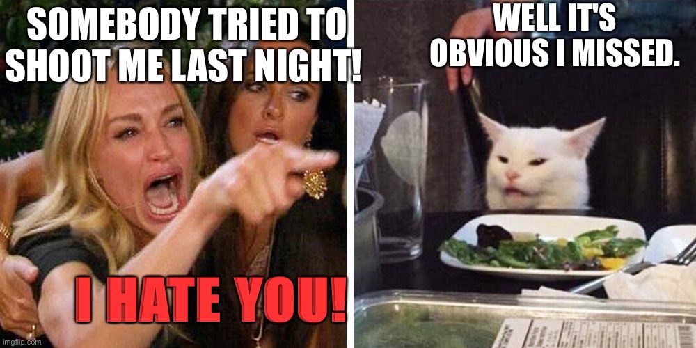 Woman yelling at cat | WELL IT'S OBVIOUS I MISSED. SOMEBODY TRIED TO SHOOT ME LAST NIGHT! I HATE YOU! | image tagged in smudge the cat | made w/ Imgflip meme maker