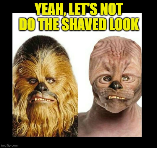 YEAH, LET'S NOT DO THE SHAVED LOOK | made w/ Imgflip meme maker