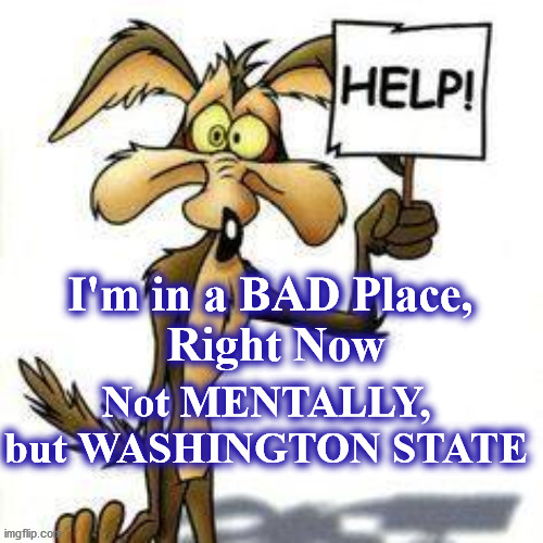 bad place | I'm in a BAD Place,
 Right Now; Not MENTALLY, but WASHINGTON STATE | image tagged in bad place | made w/ Imgflip meme maker