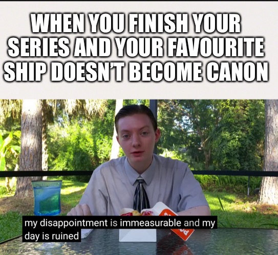 WHEN YOU FINISH YOUR SERIES AND YOUR FAVOURITE SHIP DOESN’T BECOME CANON | image tagged in my disappointment is immeasurable,ship,relationships,canon | made w/ Imgflip meme maker