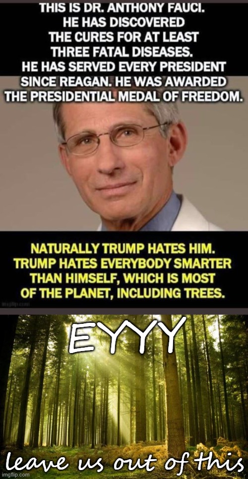 the trees are not having this one | EYYY; leave us out of this | image tagged in sunlit forest,covid-19,trump is a moron,donald trump is an idiot,forest,covid | made w/ Imgflip meme maker
