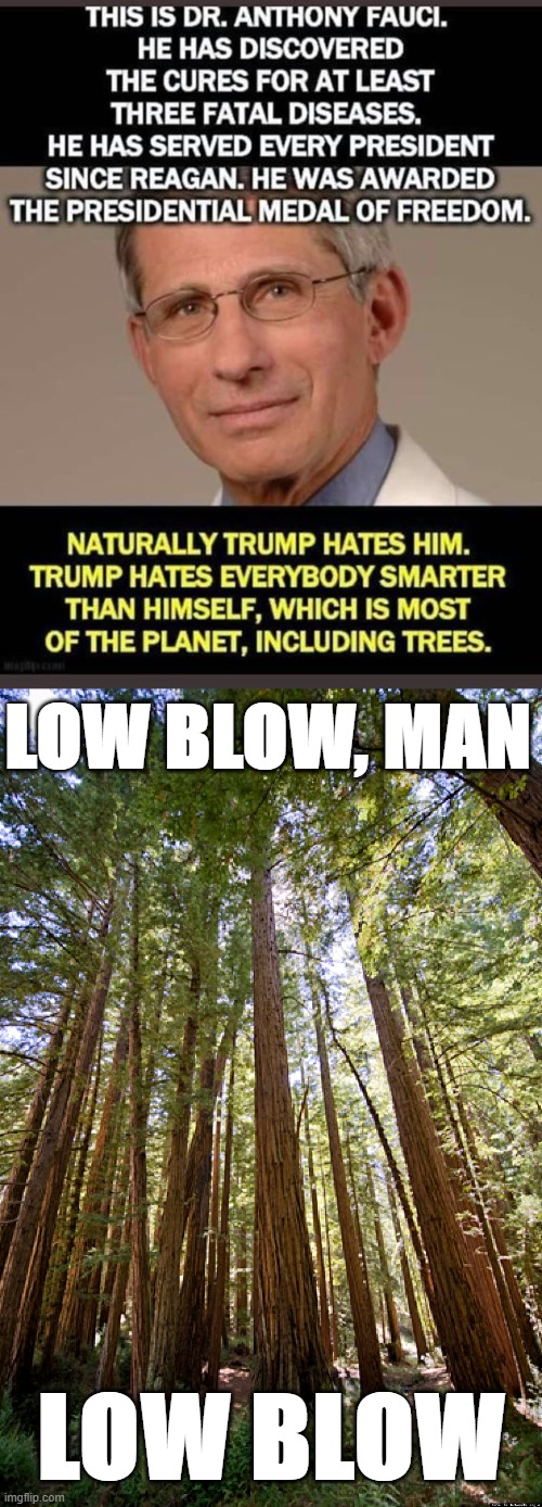 on behalf of forests everywhere i resent this blantant politizication and iq-shaming of a cherished bioresource maga | LOW BLOW, MAN; LOW BLOW | image tagged in redwood forest,maga,covid-19,covid,trump is a moron,donald trump is an idiot | made w/ Imgflip meme maker