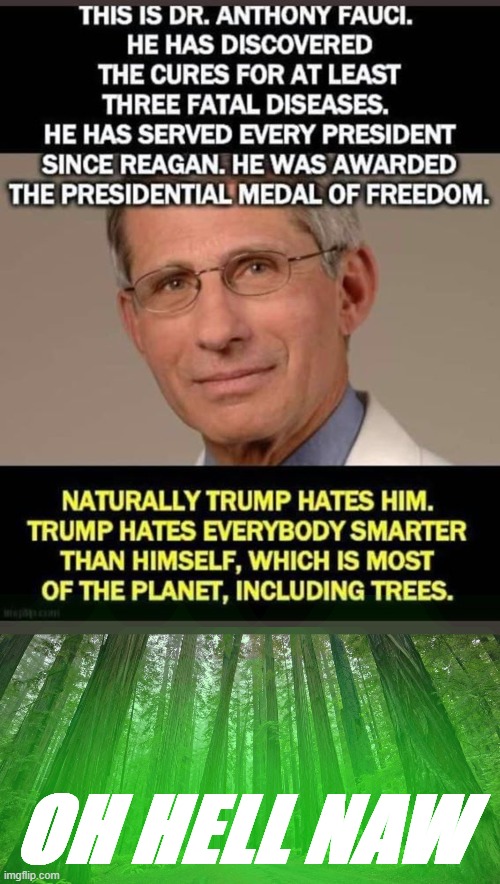 the redwoods of California are not having this comparison | OH HELL NAW | image tagged in redwood forest,trees,donald trump is an idiot,trump is a moron,politics lol,covid-19 | made w/ Imgflip meme maker