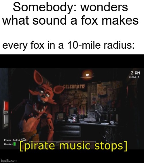 Pirate music stops | Somebody: wonders what sound a fox makes; every fox in a 10-mile radius: | image tagged in pirate music stops | made w/ Imgflip meme maker