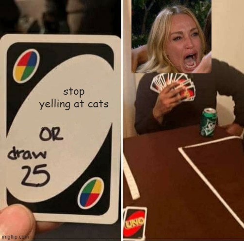 Don’t yell at cats | stop yelling at cats | image tagged in memes,uno draw 25 cards | made w/ Imgflip meme maker