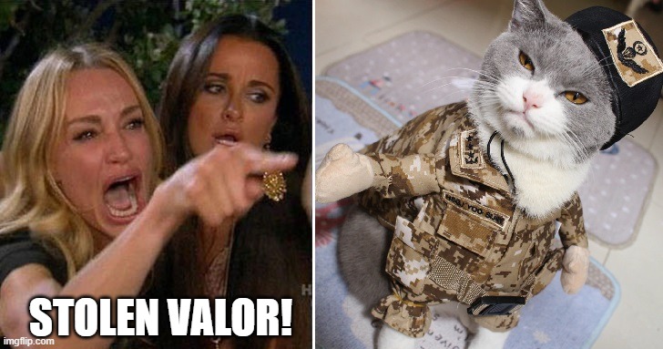 Stolen Valor | STOLEN VALOR! | image tagged in valor,stolen,lady screams at cat,crybaby | made w/ Imgflip meme maker