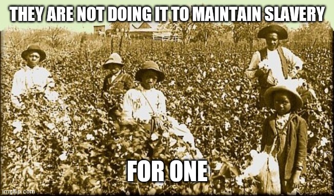 cotton slaves | THEY ARE NOT DOING IT TO MAINTAIN SLAVERY FOR ONE | image tagged in cotton slaves | made w/ Imgflip meme maker