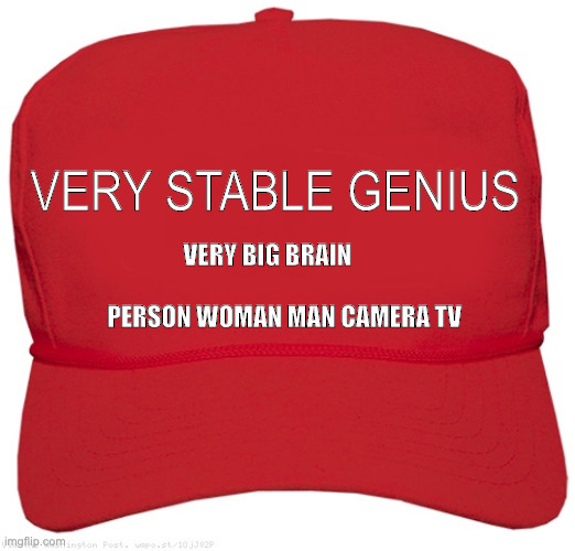 Very Appropriate New MAGA hat Replacement | VERY STABLE GENIUS; VERY BIG BRAIN                                                                    PERSON WOMAN MAN CAMERA TV | image tagged in blank red maga hat | made w/ Imgflip meme maker