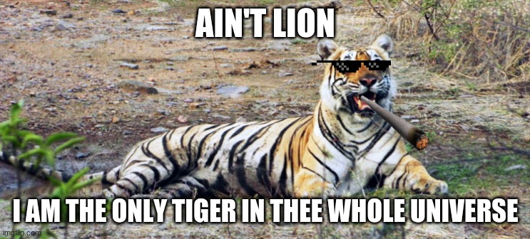 tiger | AIN'T LION; I AM THE ONLY TIGER IN THEE WHOLE UNIVERSE | image tagged in bad luck brian | made w/ Imgflip meme maker
