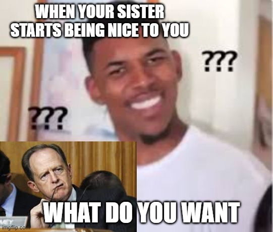 Sister being wierd | WHEN YOUR SISTER STARTS BEING NICE TO YOU; WHAT DO YOU WANT | image tagged in sister | made w/ Imgflip meme maker