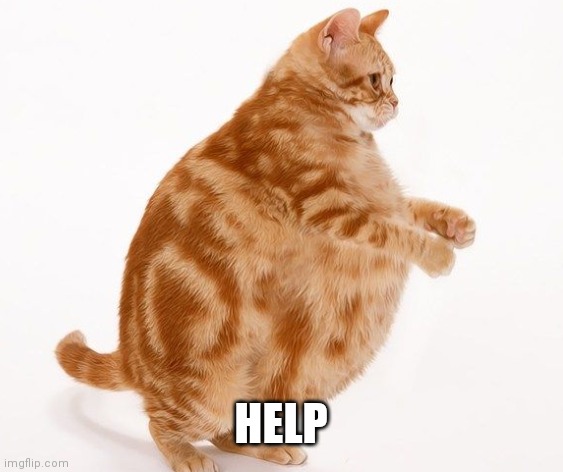 Chonk Cat dance | HELP | image tagged in chonk cat dance | made w/ Imgflip meme maker
