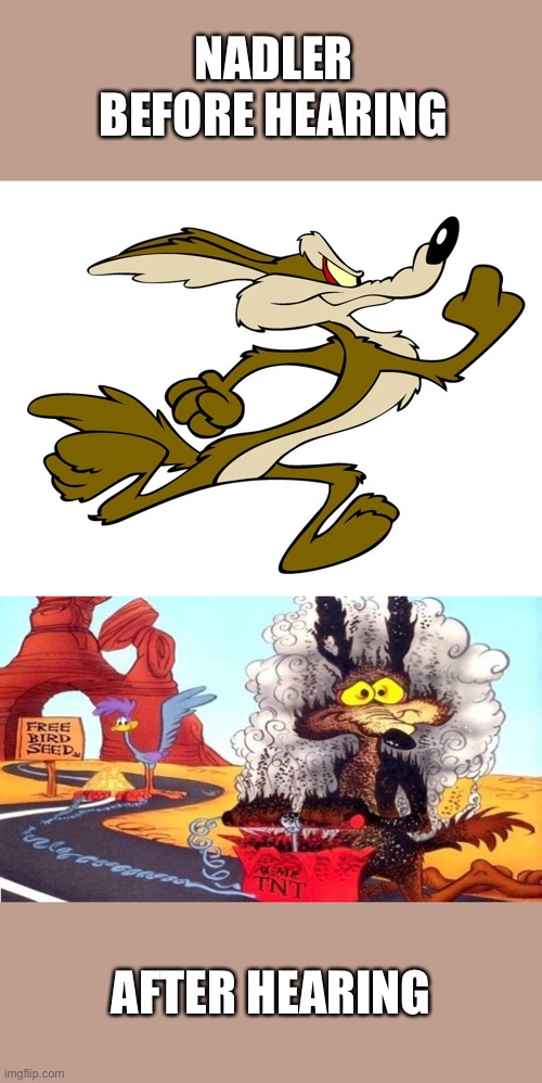 Nadler hearing before after | NADLER BEFORE HEARING; AFTER HEARING | image tagged in wile e coyote,wilie before,coyote | made w/ Imgflip meme maker